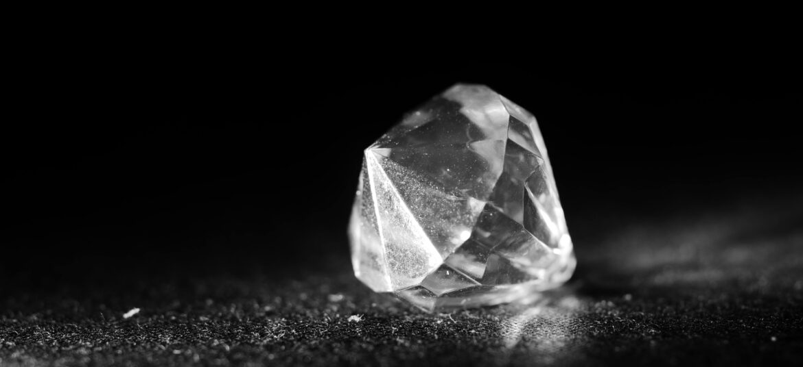 pexels-rudonni-7568017